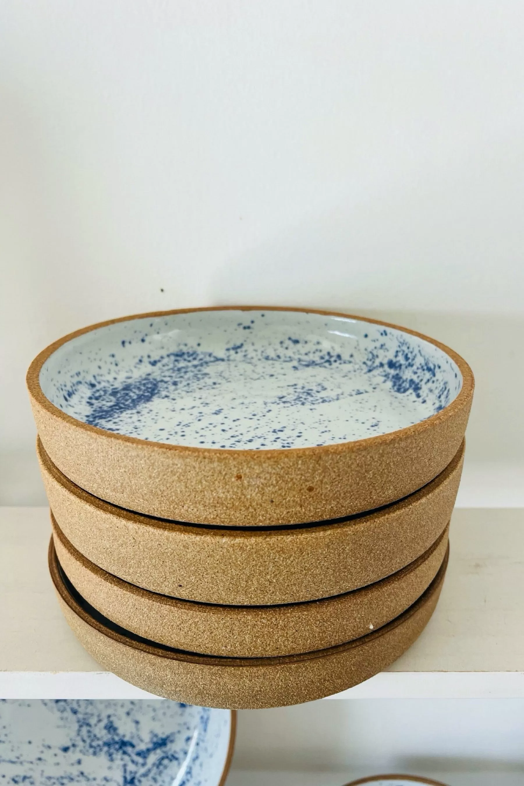 Blue Speckled Plate