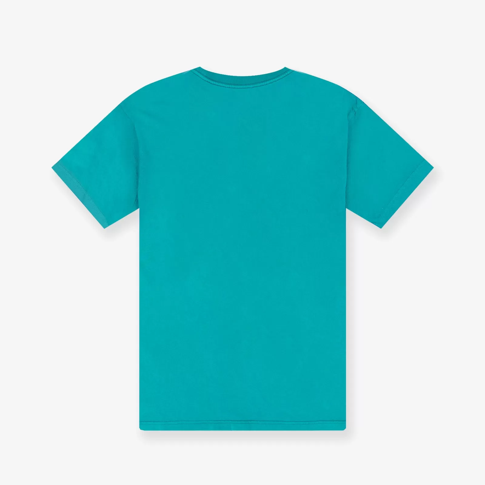 Charlotte Hornets Vintage HWC Ivy Arch Tee - Faded Teal