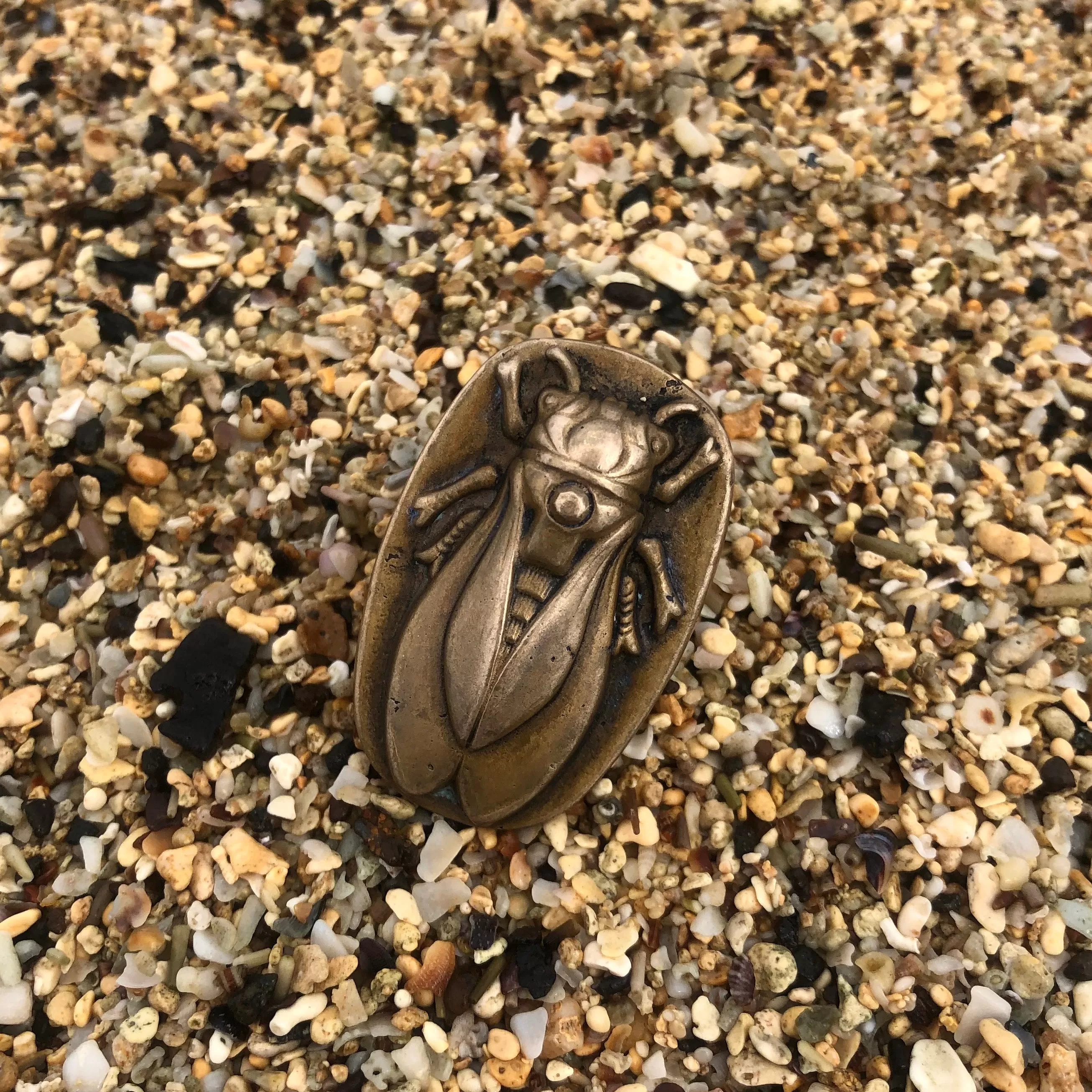 CICADA Ring - Mixed Metal - size 7 1/2