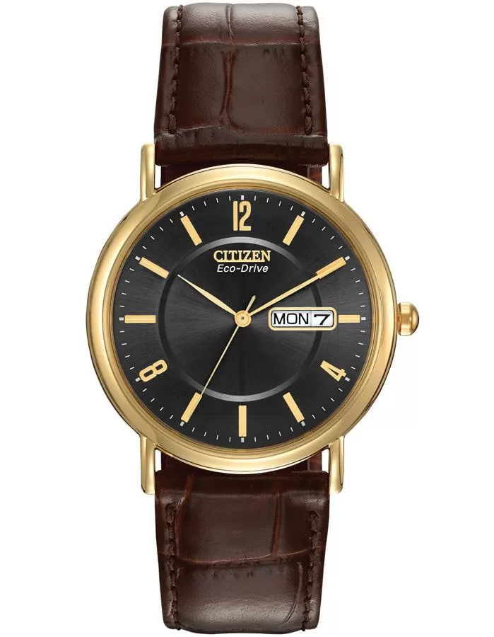 Citizen Mens Leather Strap Eco-Drive - Gold-Tone - Black Dial - Day/Date