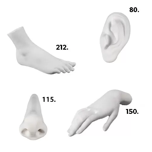 Marcantonio, Porcelain Parts of the Human Body Collection