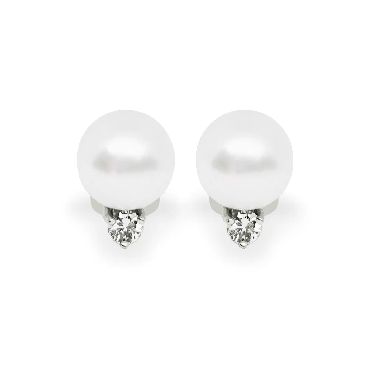 South Sea Pearl Earrings